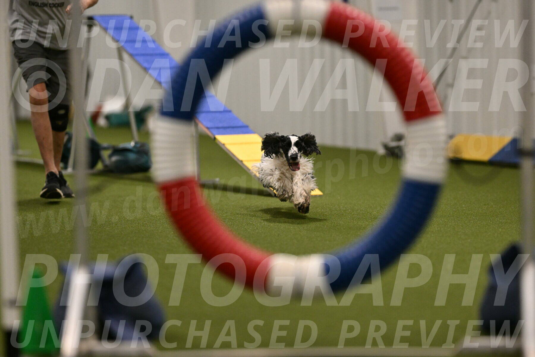 Winston-David-and-Christy-Thorley-02393