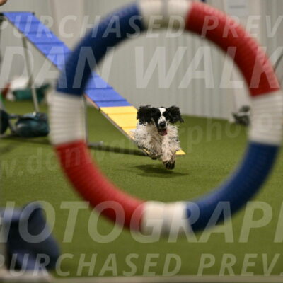 Winston-David-and-Christy-Thorley-02393