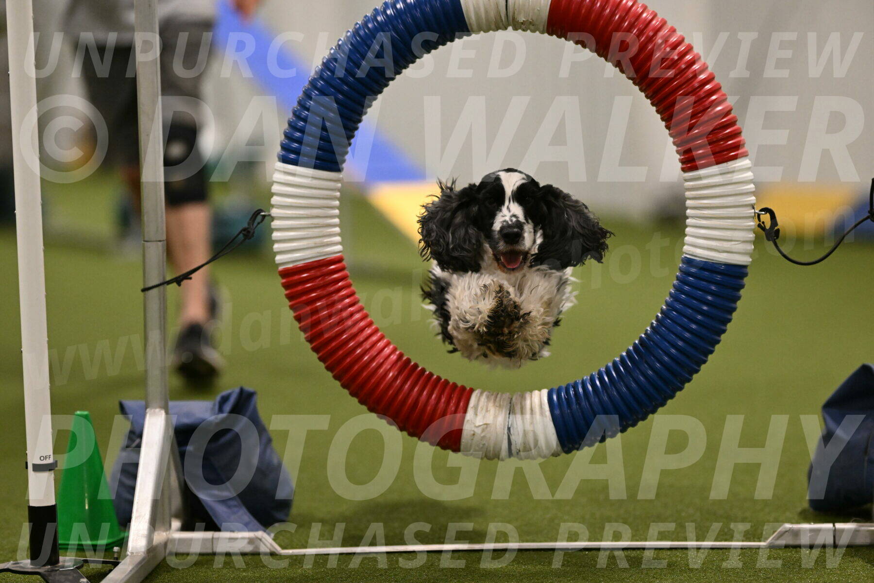 Winston-David-and-Christy-Thorley-02394