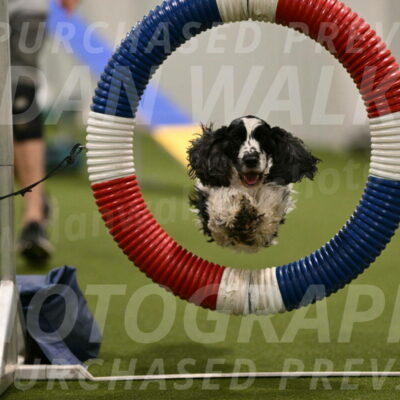 Winston-David-and-Christy-Thorley-02394