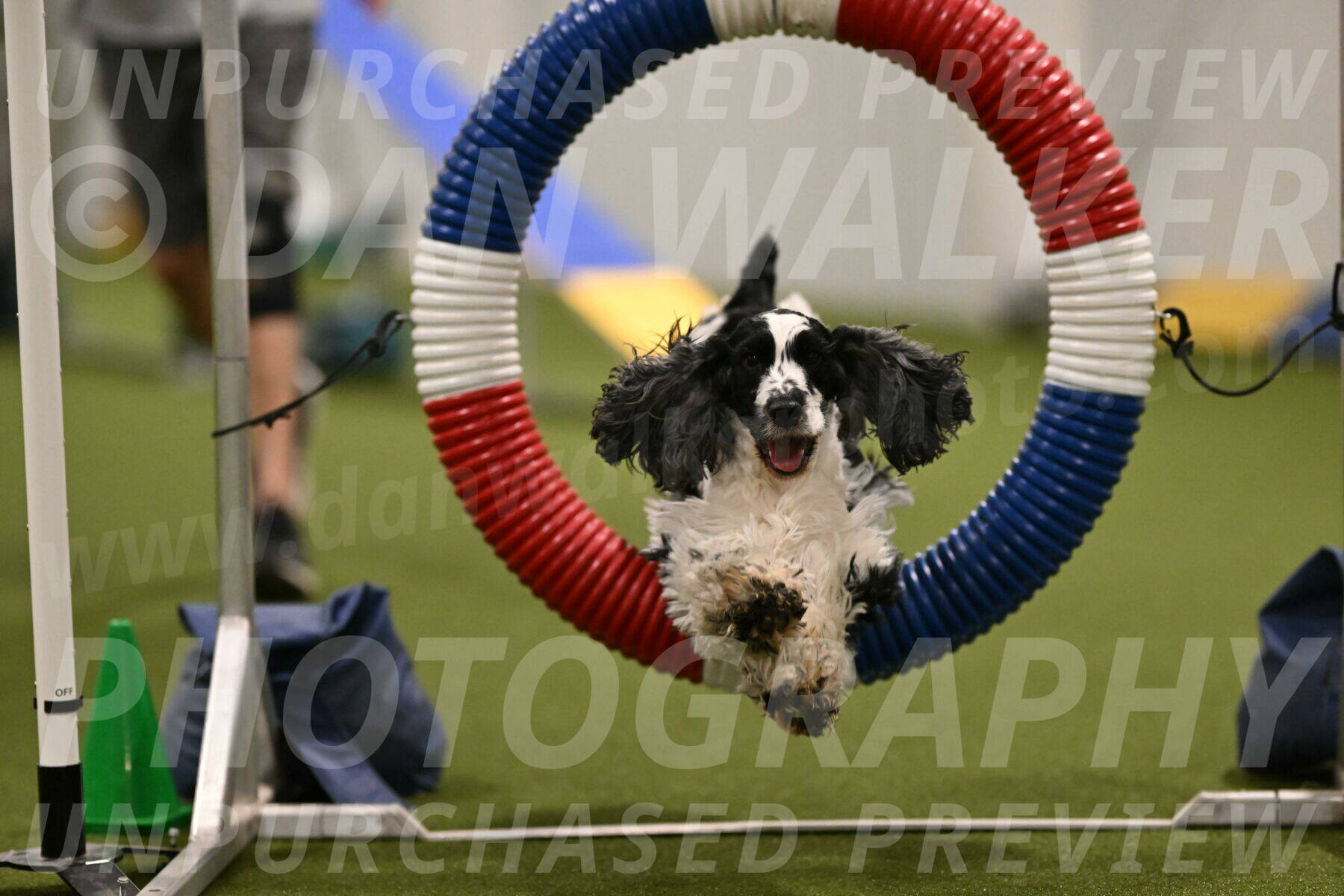 Winston-David-and-Christy-Thorley-02395