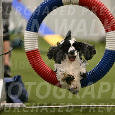 Winston-David-and-Christy-Thorley-02395