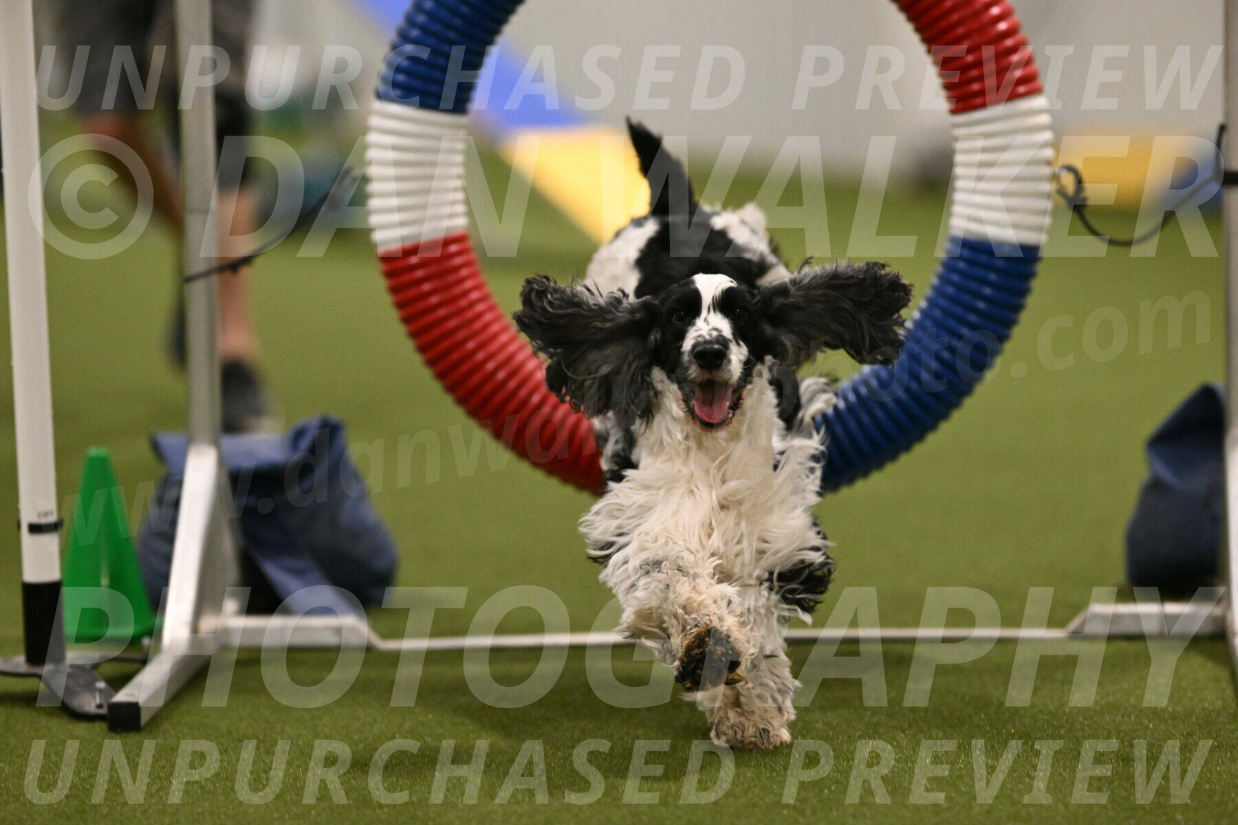 Winston-David-and-Christy-Thorley-02396