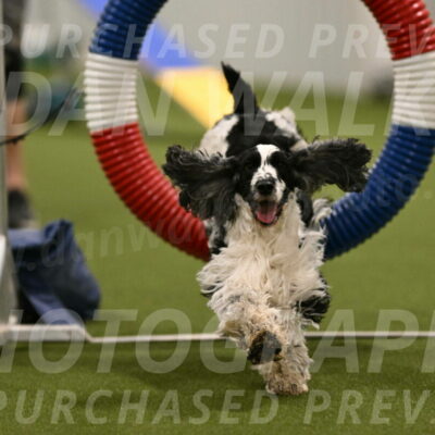 Winston-David-and-Christy-Thorley-02396