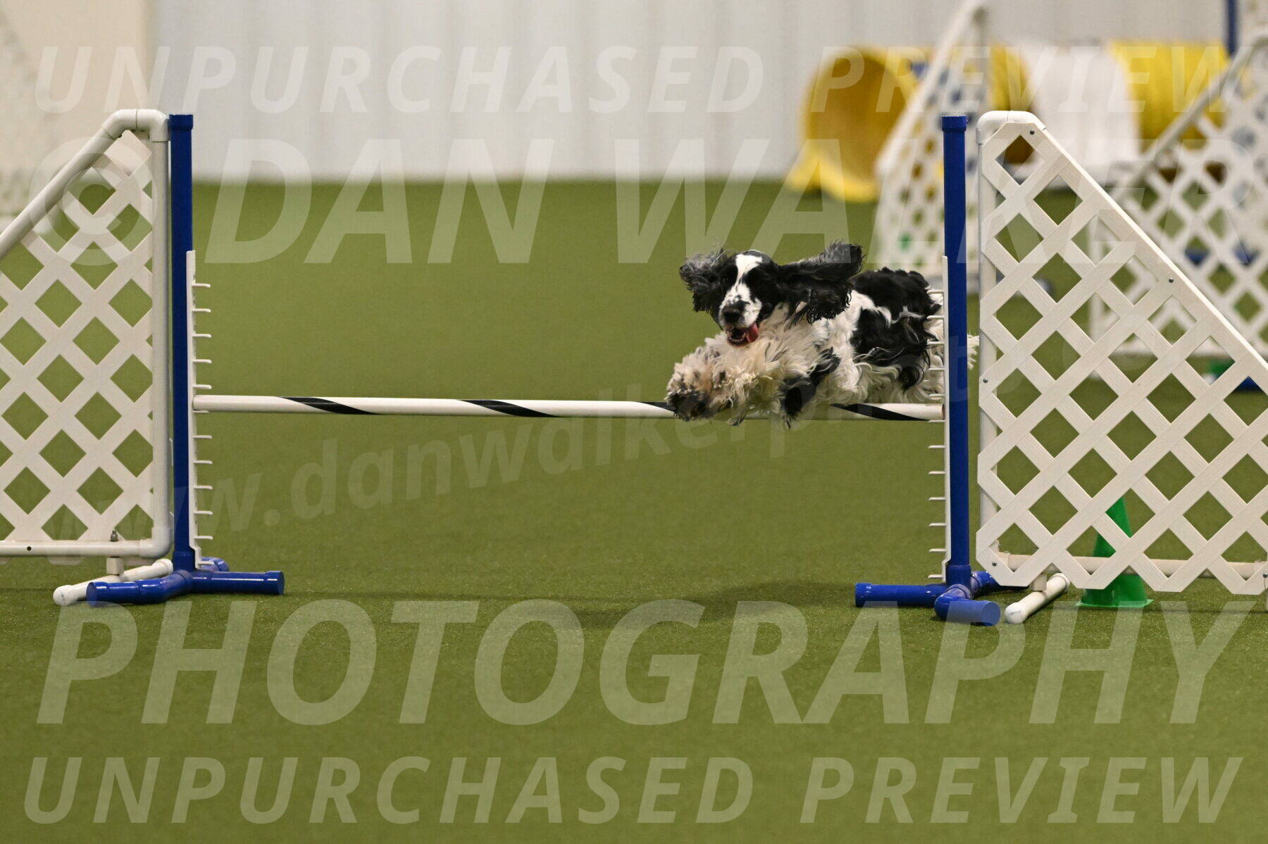 Winston-David-and-Christy-Thorley-02397