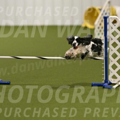 Winston-David-and-Christy-Thorley-02397