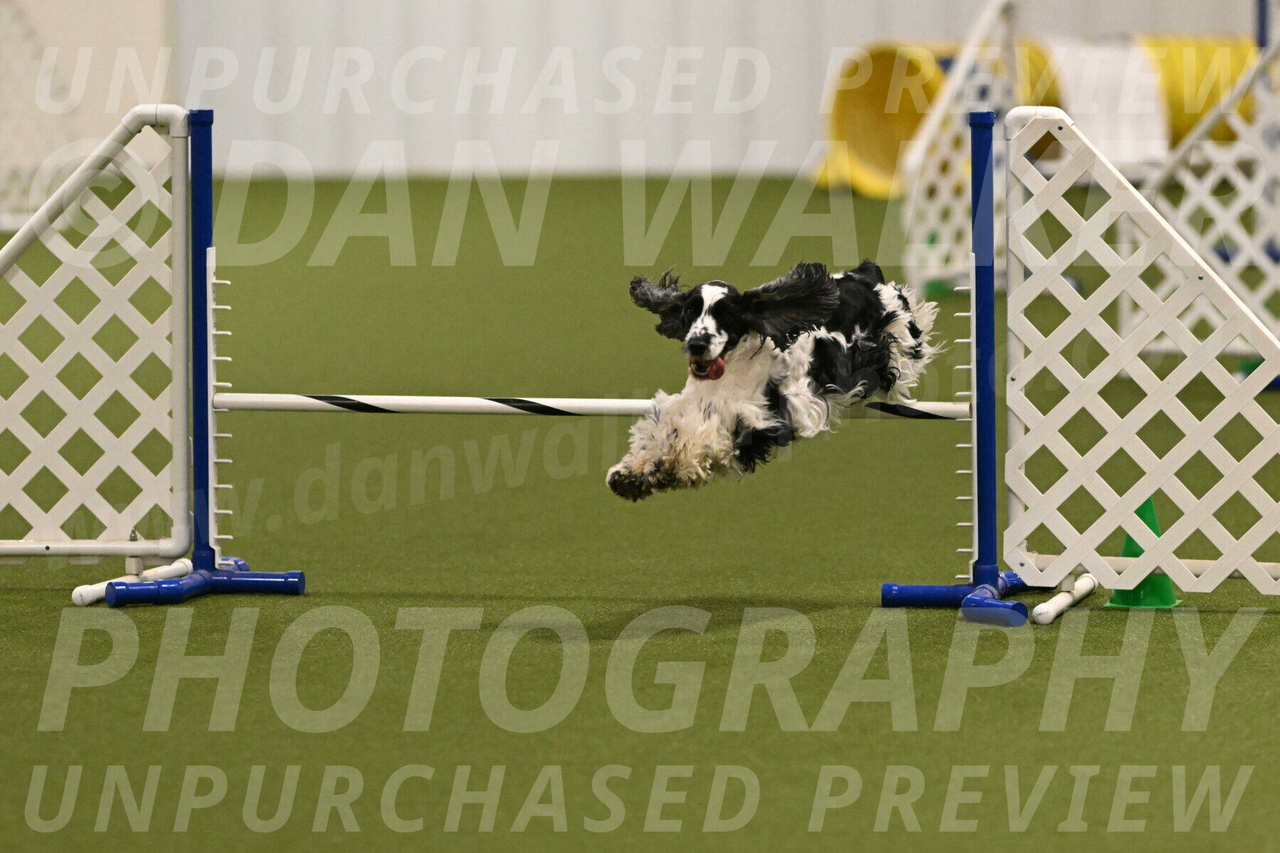 Winston-David-and-Christy-Thorley-02398