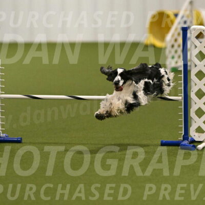 Winston-David-and-Christy-Thorley-02398