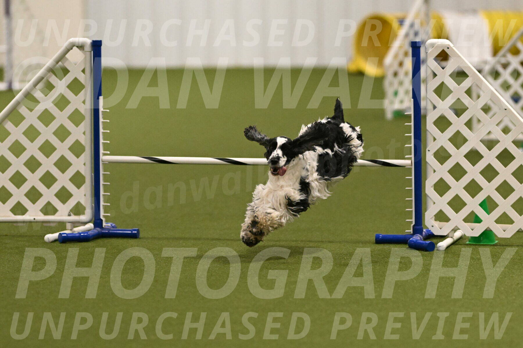 Winston-David-and-Christy-Thorley-02399