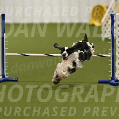 Winston-David-and-Christy-Thorley-02399