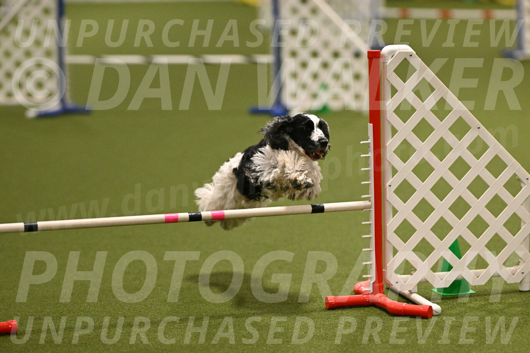 Winston-David-and-Christy-Thorley-02400