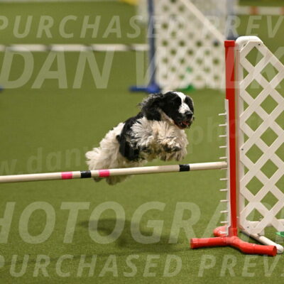 Winston-David-and-Christy-Thorley-02400