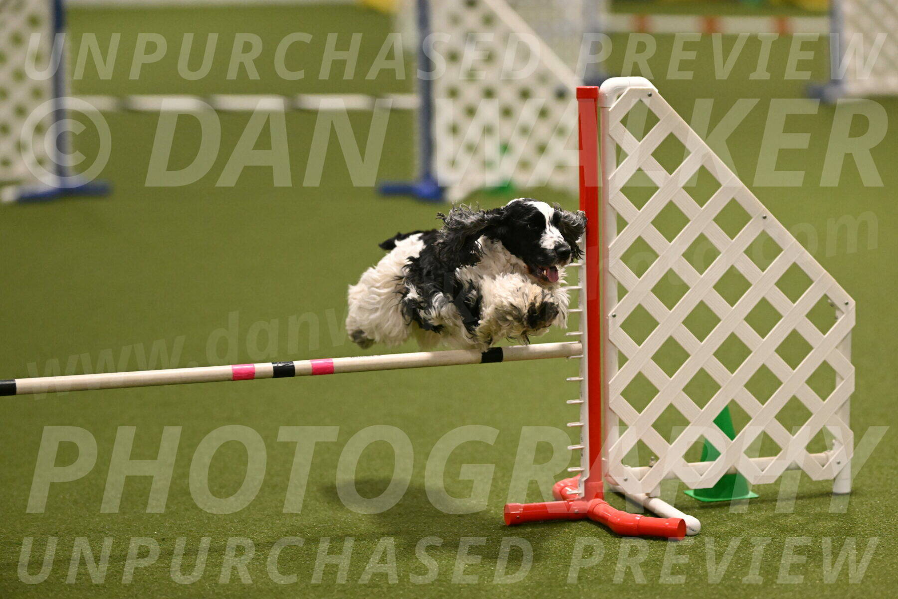 Winston-David-and-Christy-Thorley-02401