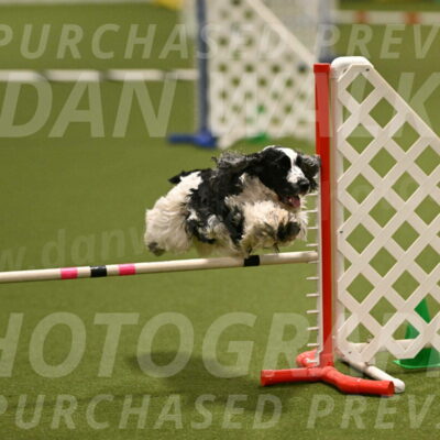 Winston-David-and-Christy-Thorley-02401