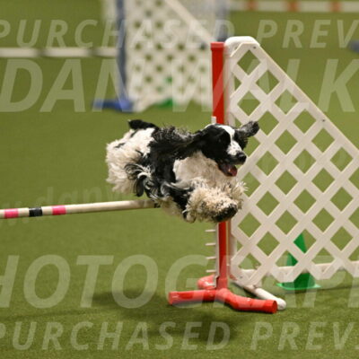 Winston-David-and-Christy-Thorley-02402