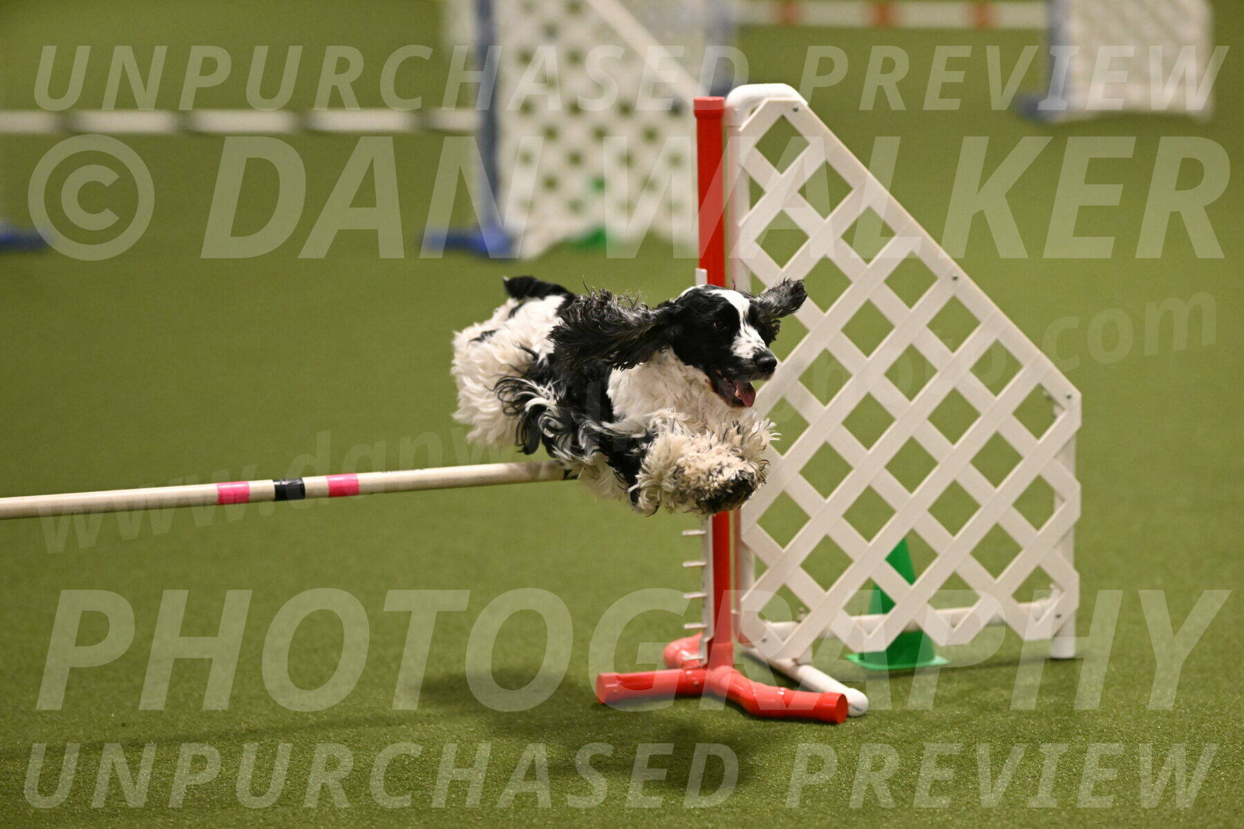 Winston-David-and-Christy-Thorley-02402