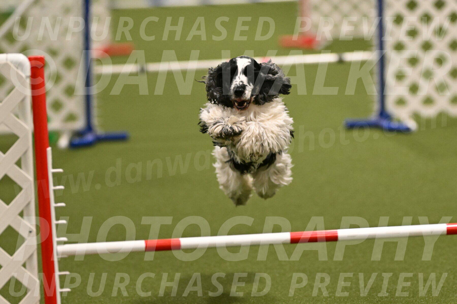 Winston-David-and-Christy-Thorley-02403