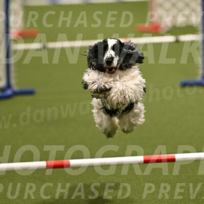 Winston-David-and-Christy-Thorley-02403