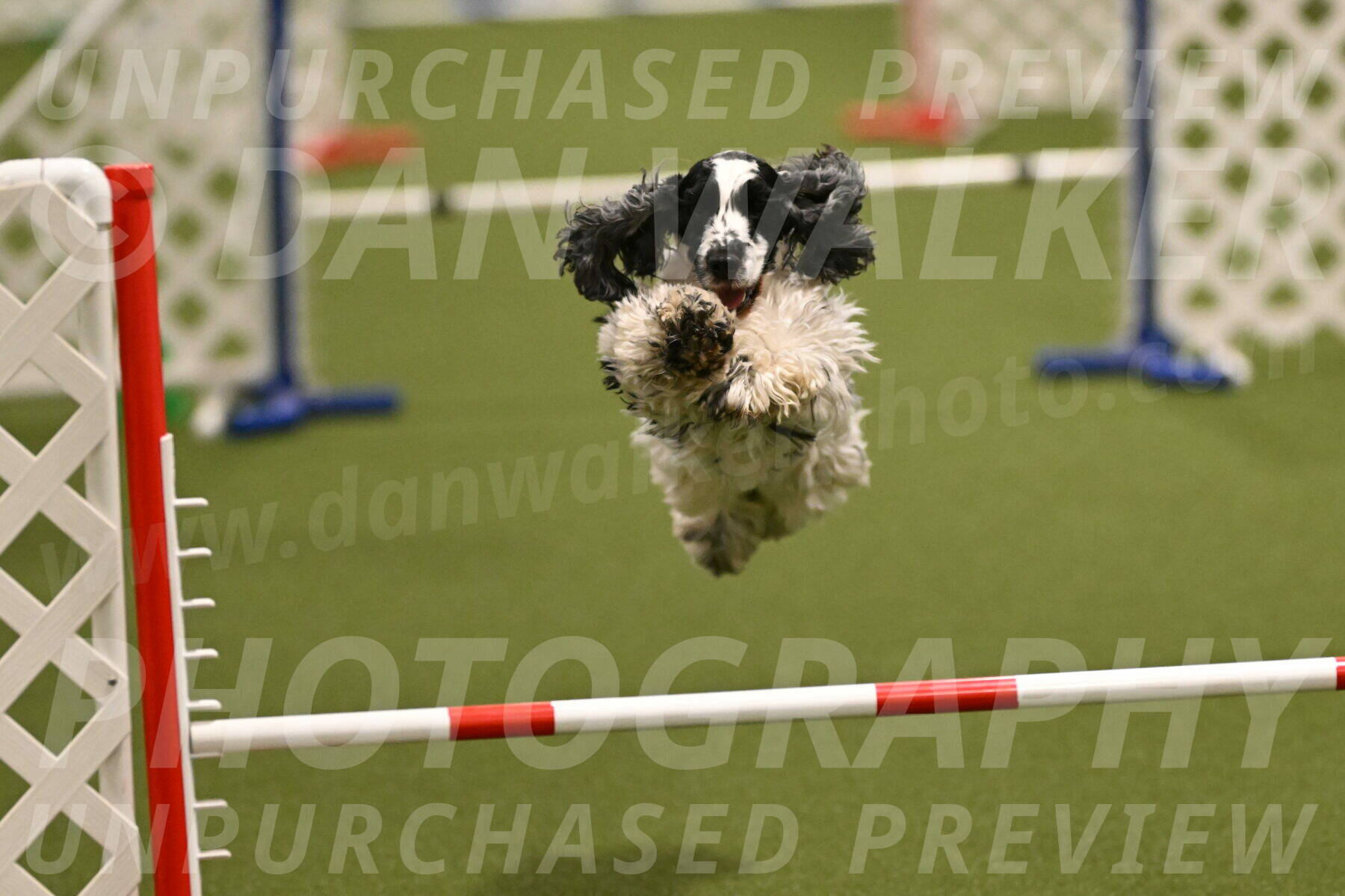 Winston-David-and-Christy-Thorley-02404