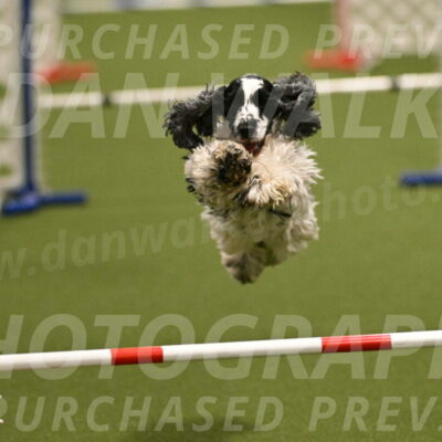 Winston-David-and-Christy-Thorley-02404