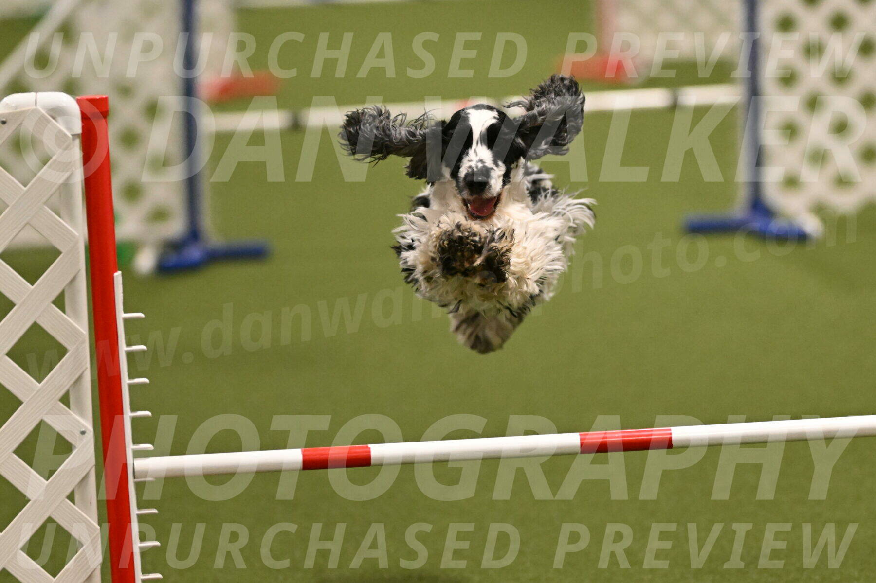 Winston-David-and-Christy-Thorley-02405