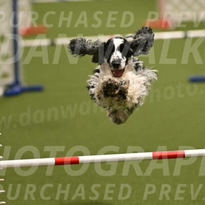 Winston-David-and-Christy-Thorley-02405