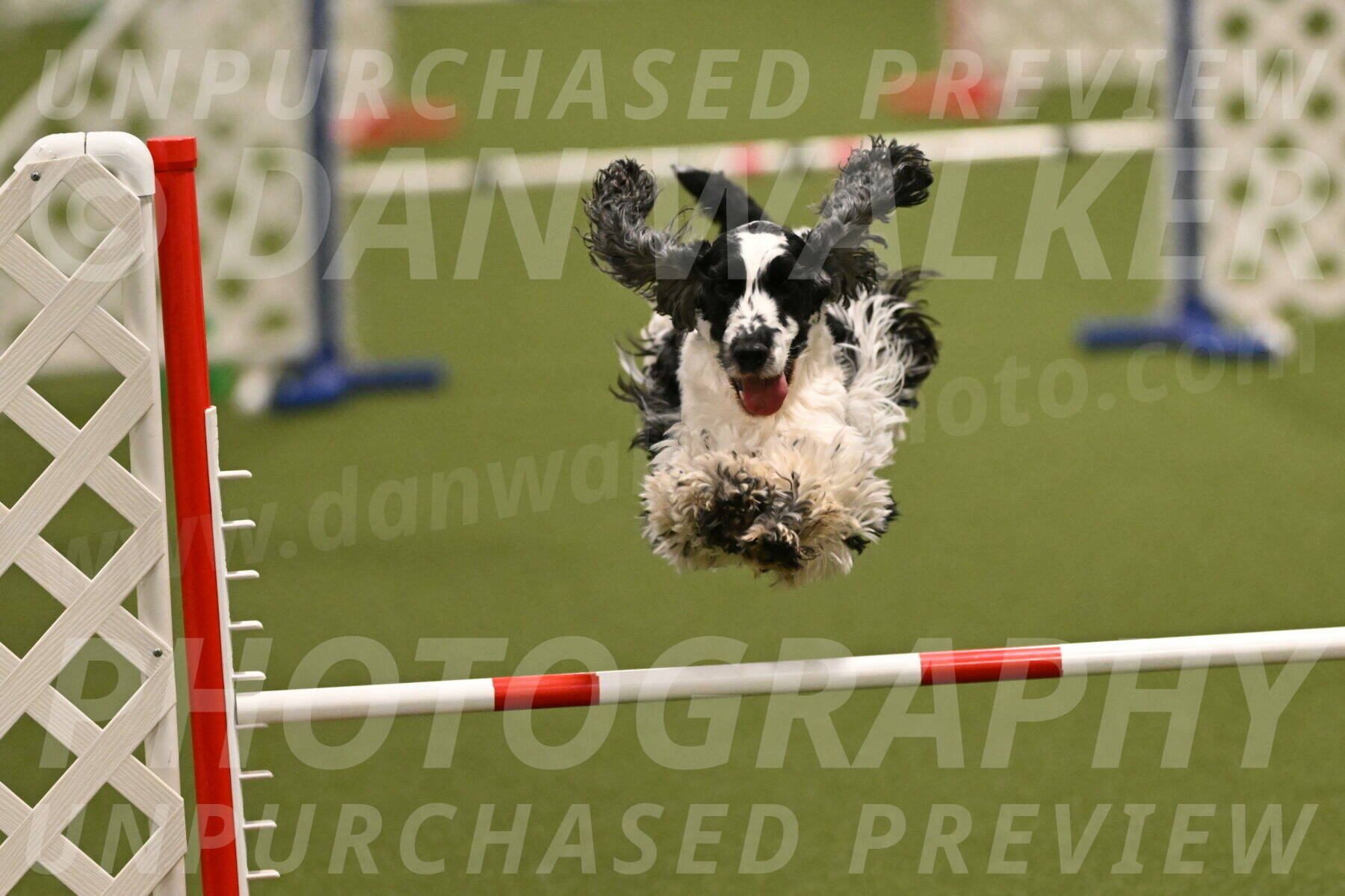 Winston-David-and-Christy-Thorley-02406