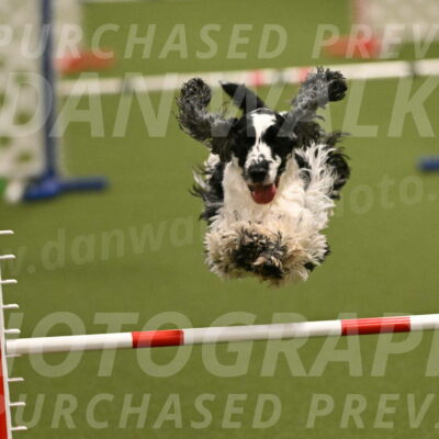 Winston-David-and-Christy-Thorley-02406