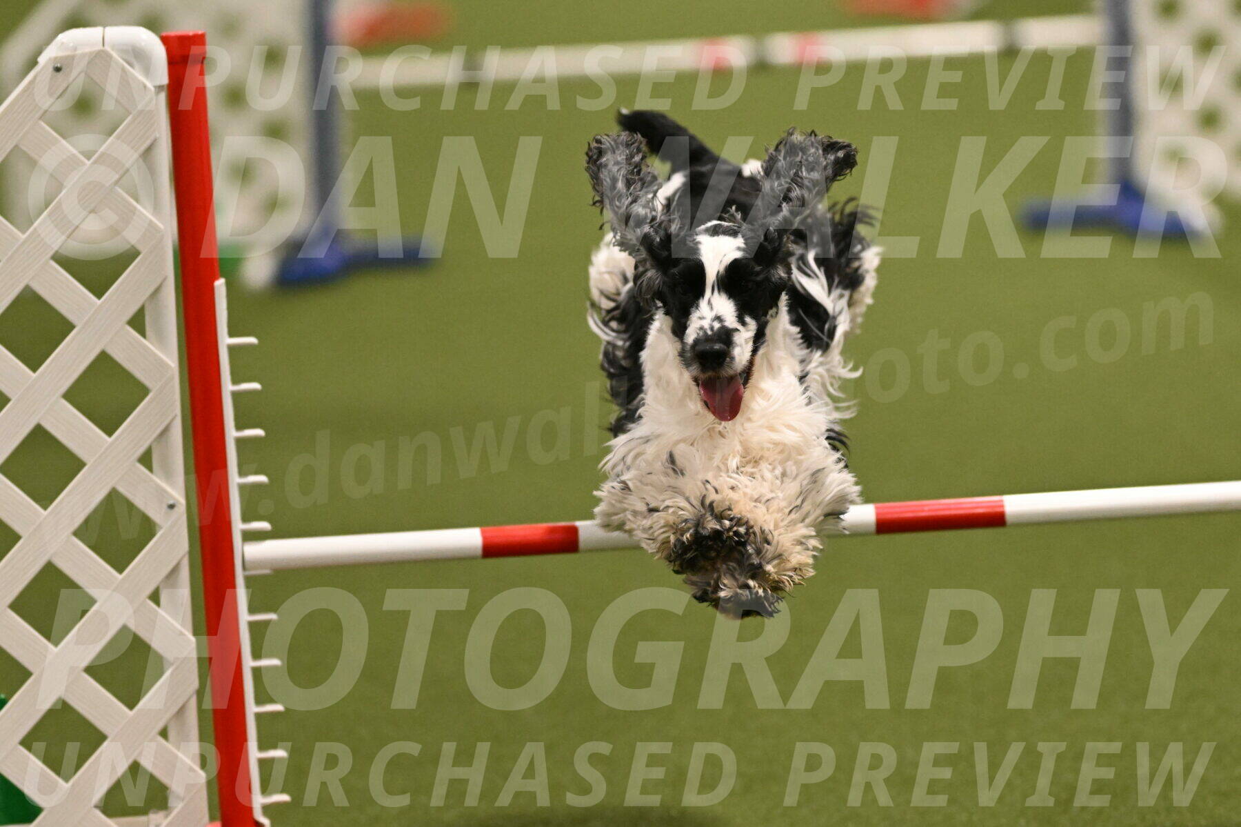 Winston-David-and-Christy-Thorley-02407