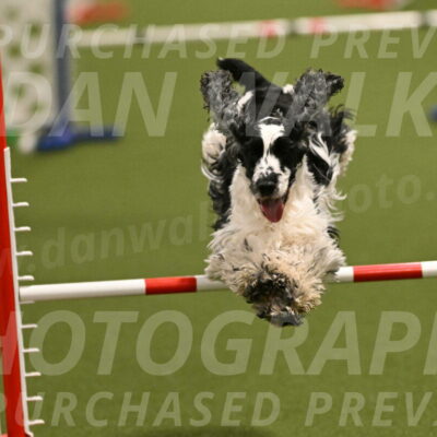 Winston-David-and-Christy-Thorley-02407