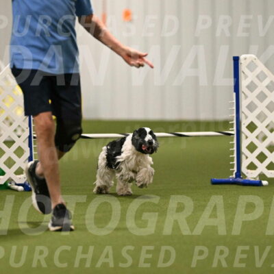 Winston-David-and-Christy-Thorley-02408