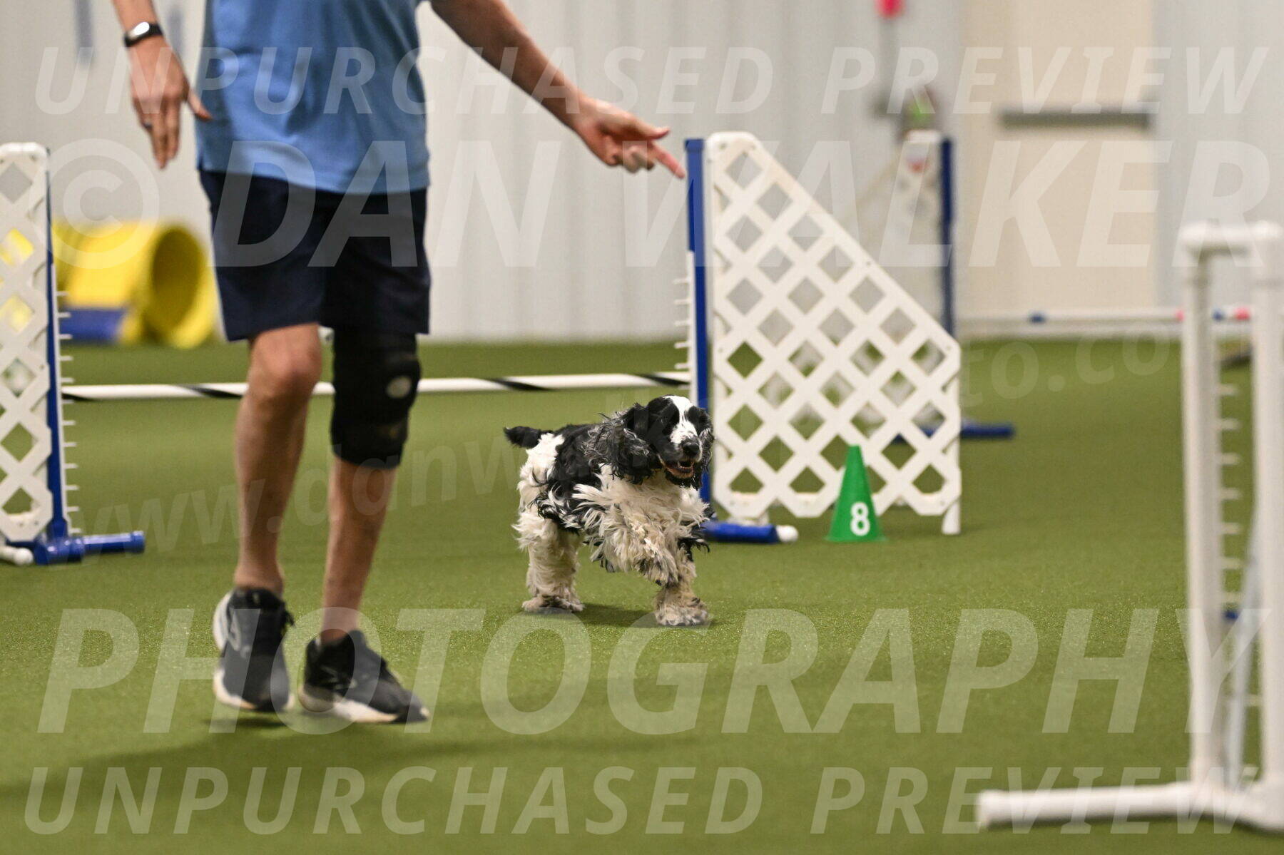 Winston-David-and-Christy-Thorley-02409