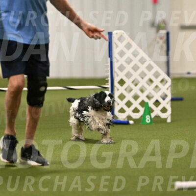 Winston-David-and-Christy-Thorley-02409