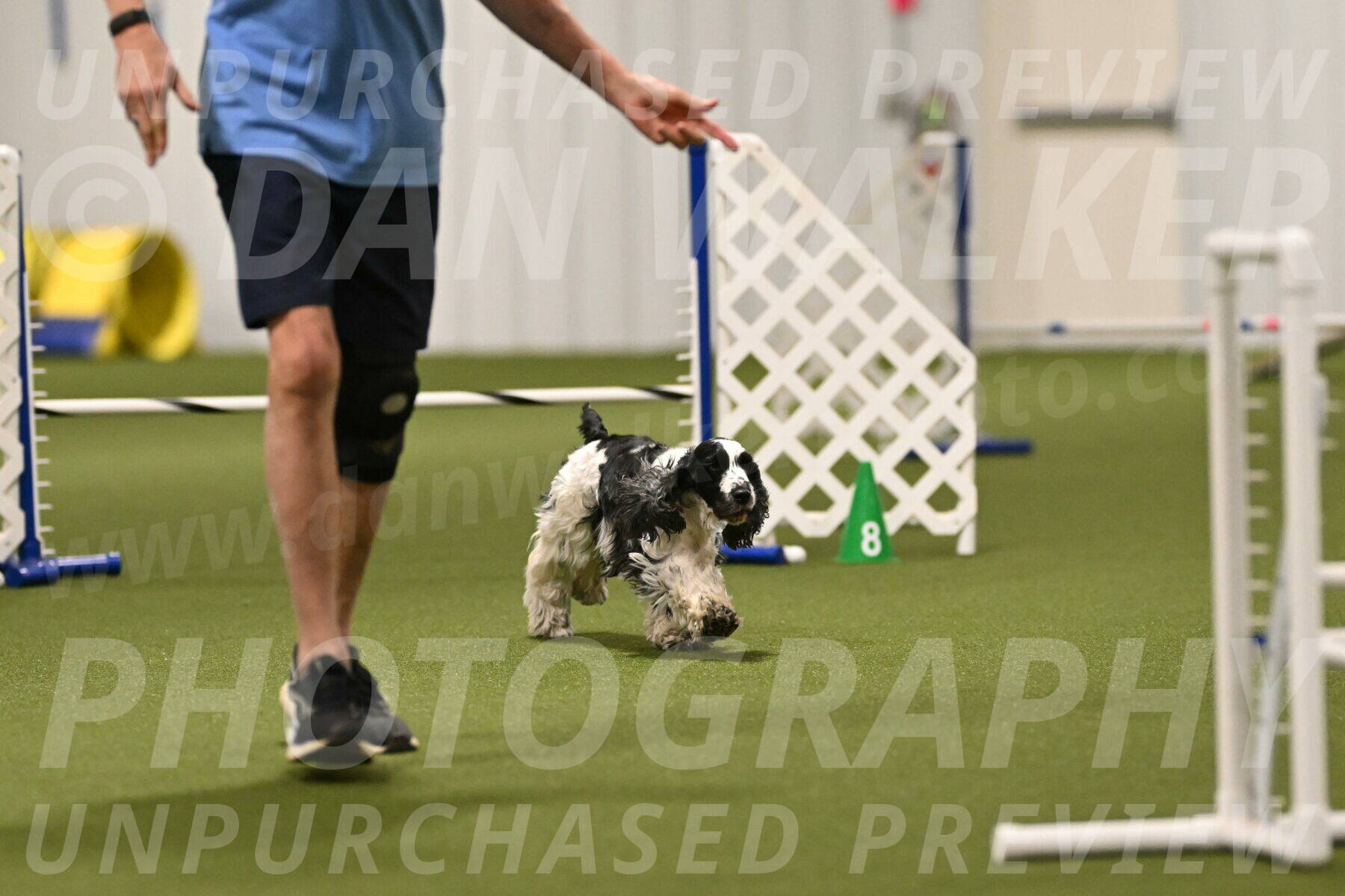 Winston-David-and-Christy-Thorley-02410