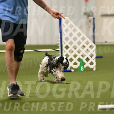 Winston-David-and-Christy-Thorley-02410