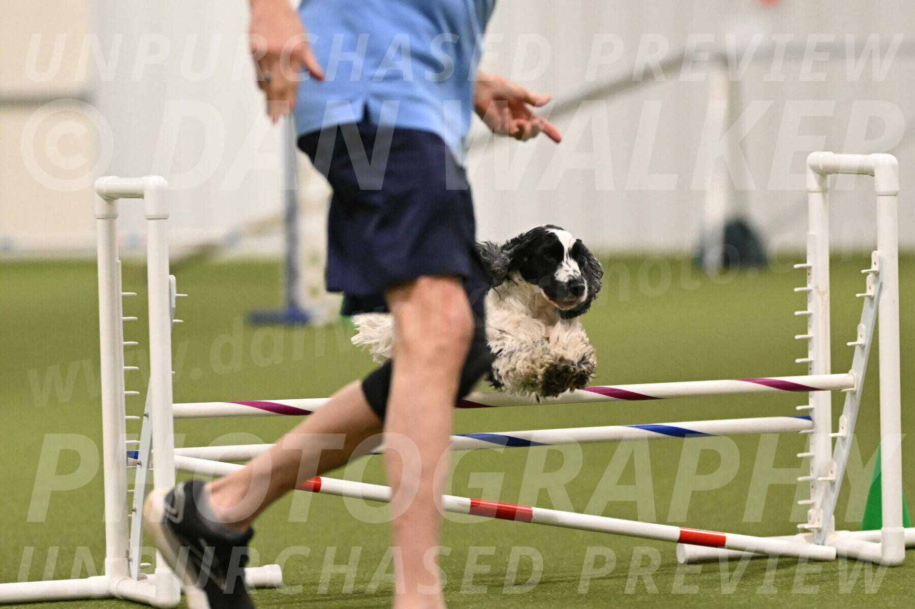 Winston-David-and-Christy-Thorley-02411