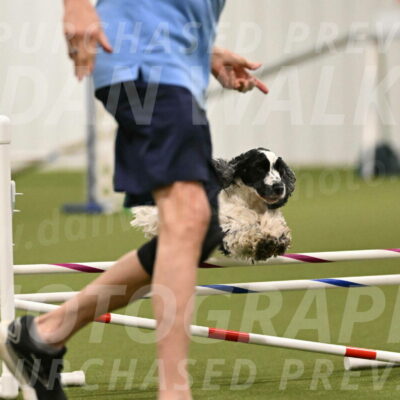 Winston-David-and-Christy-Thorley-02411