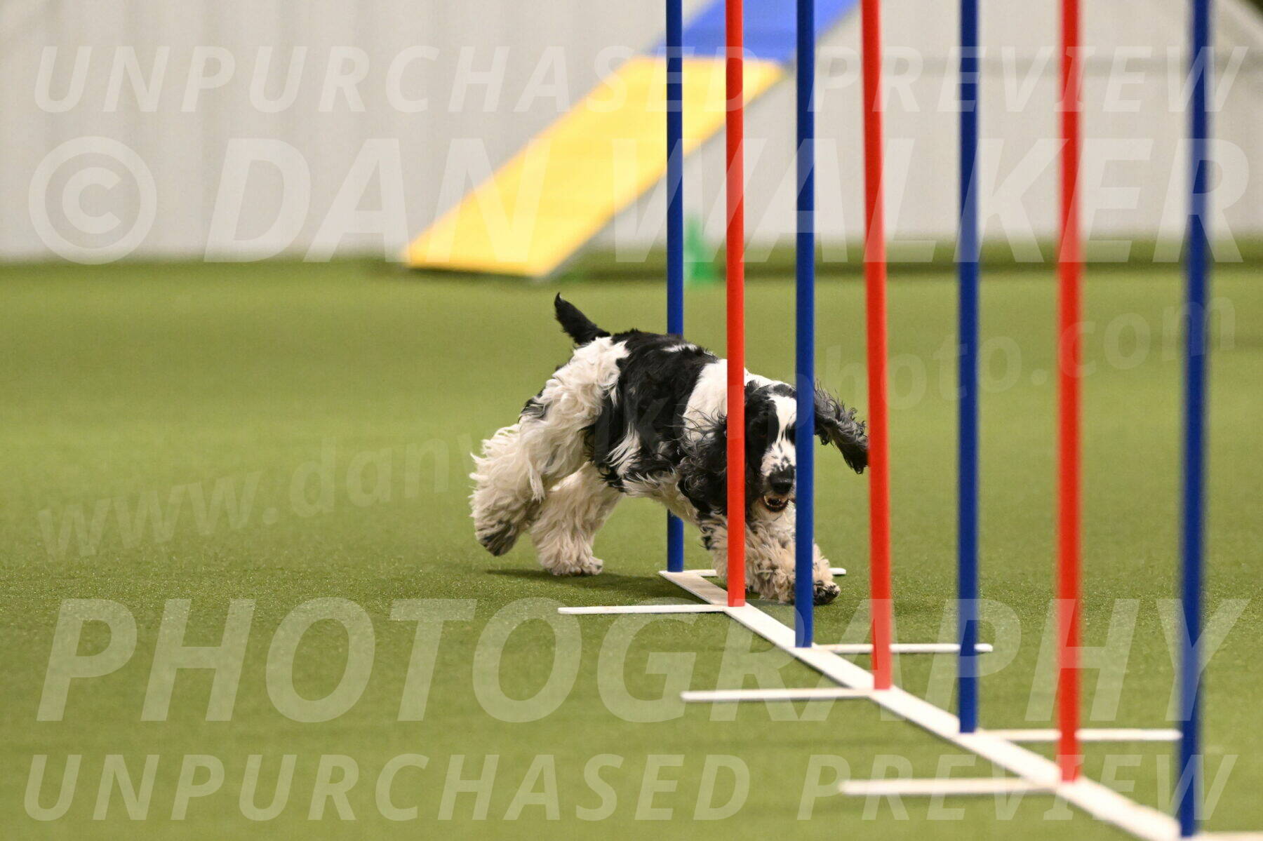 Winston-David-and-Christy-Thorley-02412