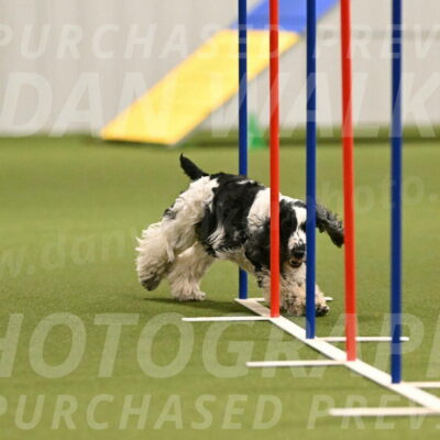 Winston-David-and-Christy-Thorley-02412