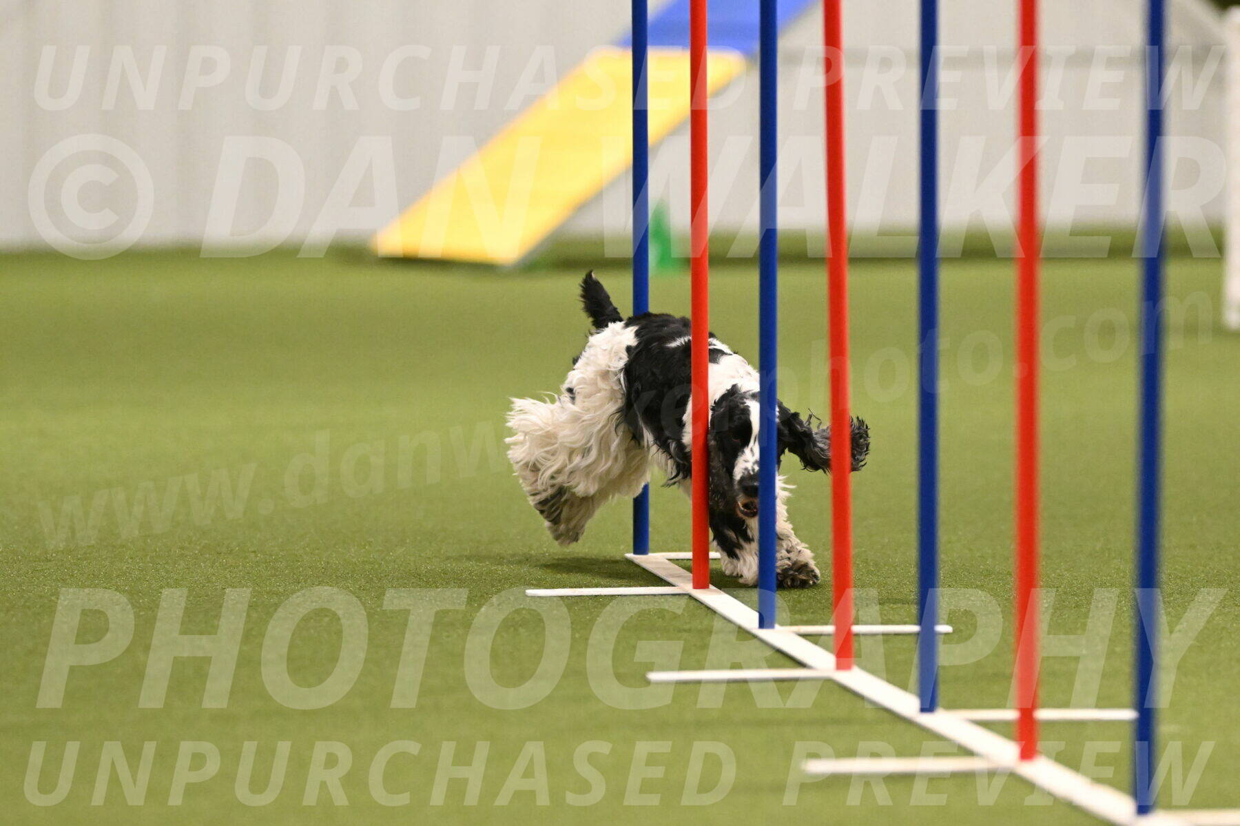 Winston-David-and-Christy-Thorley-02413