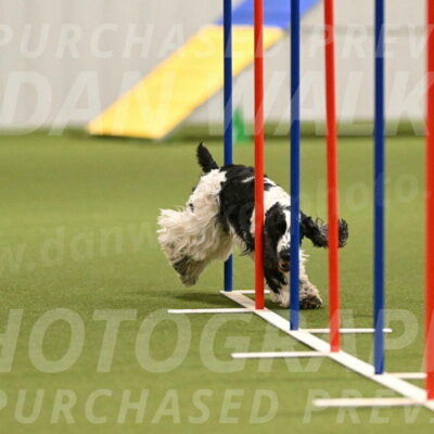 Winston-David-and-Christy-Thorley-02413