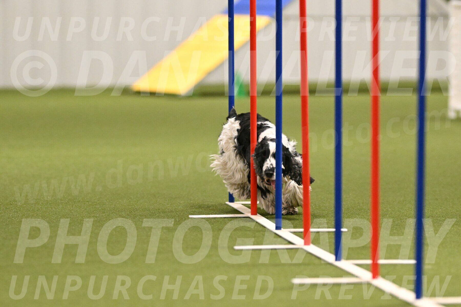 Winston-David-and-Christy-Thorley-02414