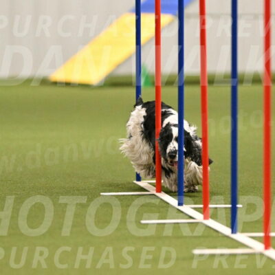 Winston-David-and-Christy-Thorley-02414