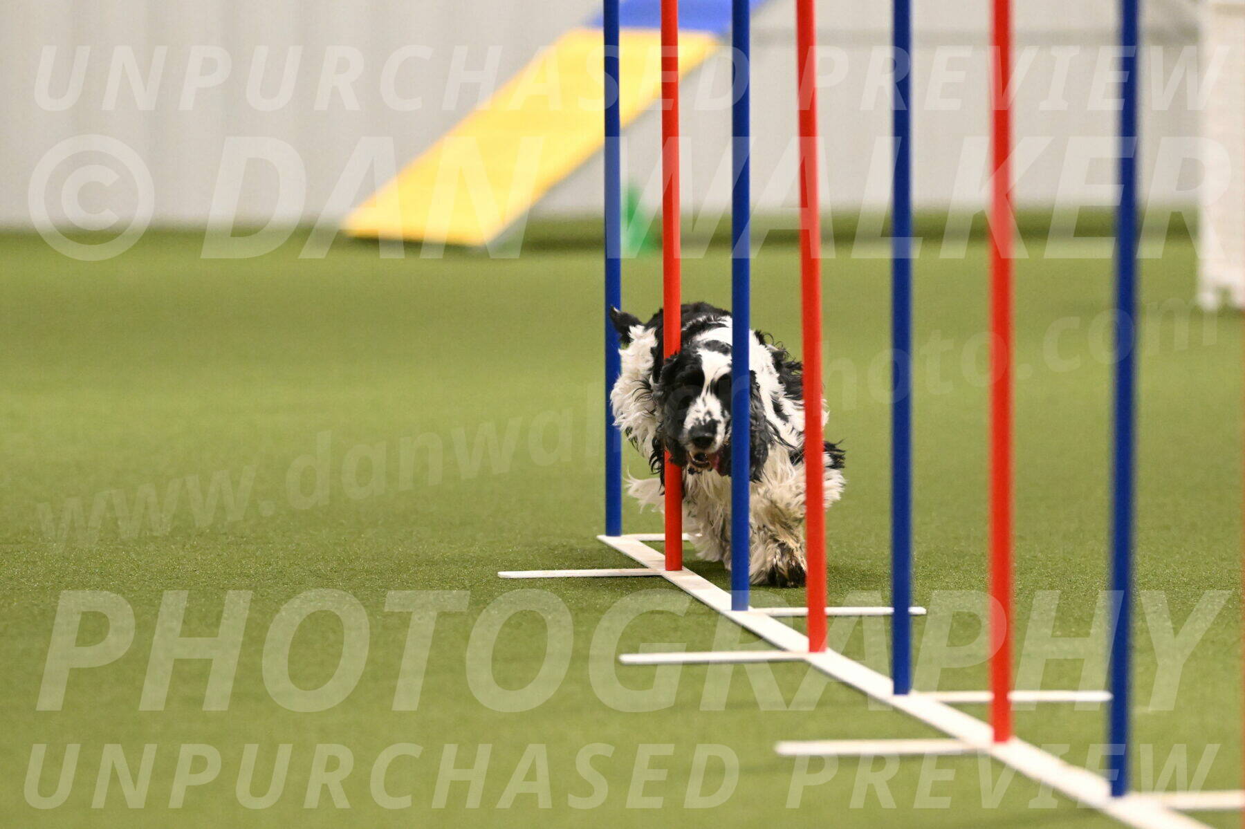 Winston-David-and-Christy-Thorley-02415