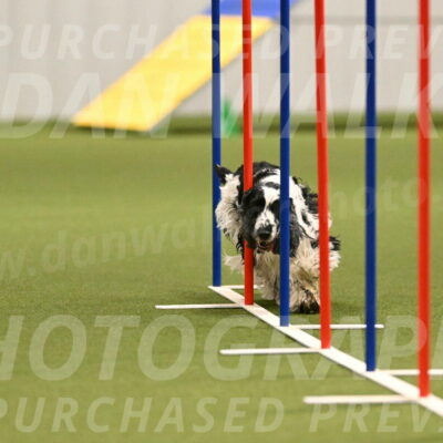 Winston-David-and-Christy-Thorley-02415