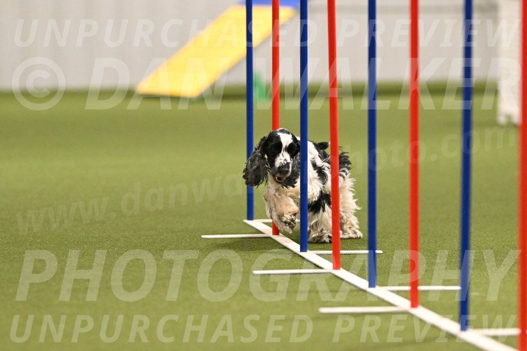 Winston-David-and-Christy-Thorley-02416