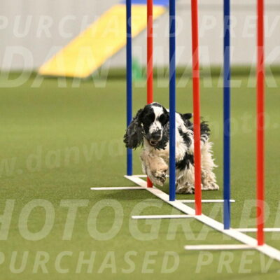 Winston-David-and-Christy-Thorley-02416