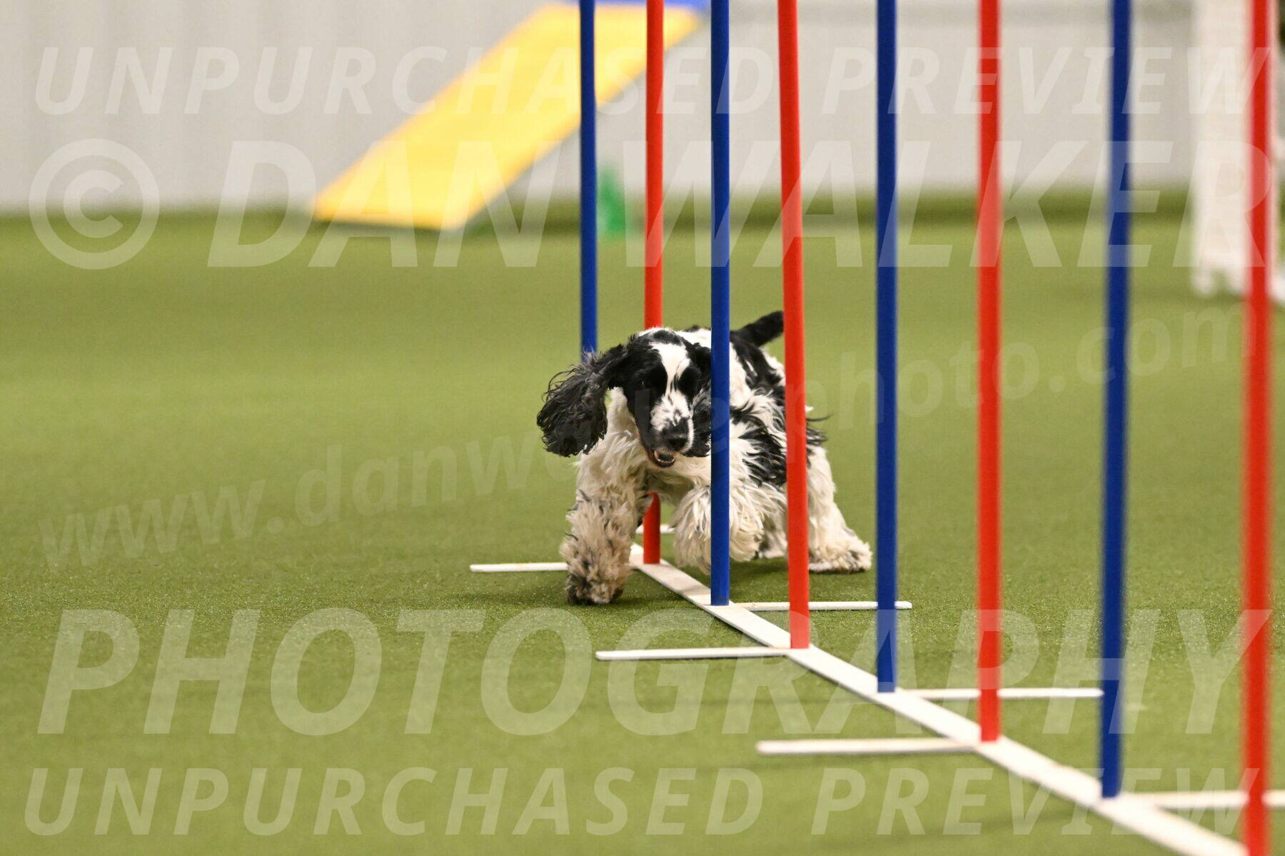 Winston-David-and-Christy-Thorley-02417