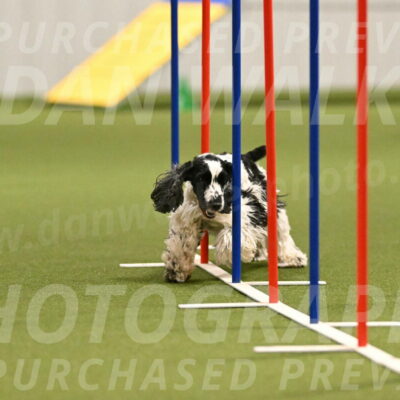 Winston-David-and-Christy-Thorley-02417