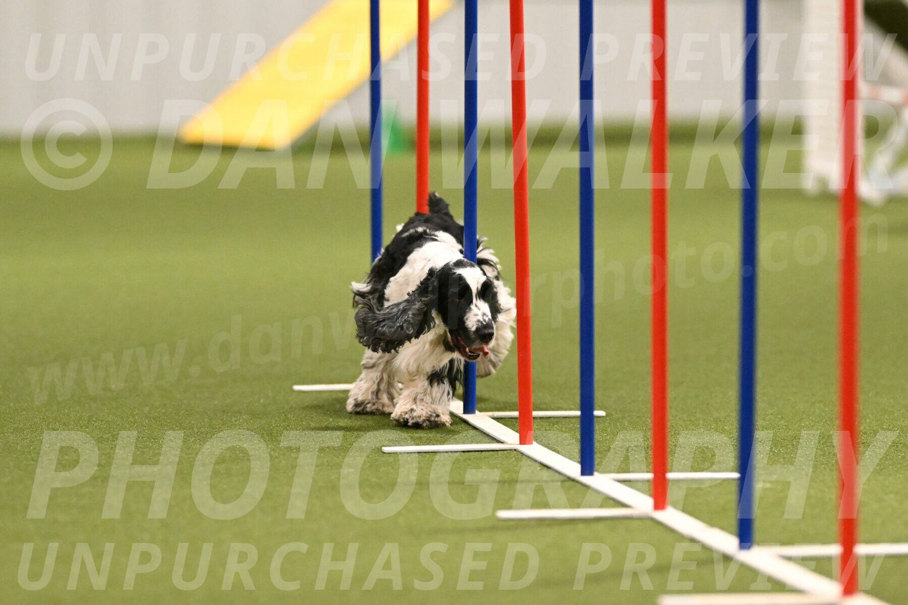 Winston-David-and-Christy-Thorley-02418